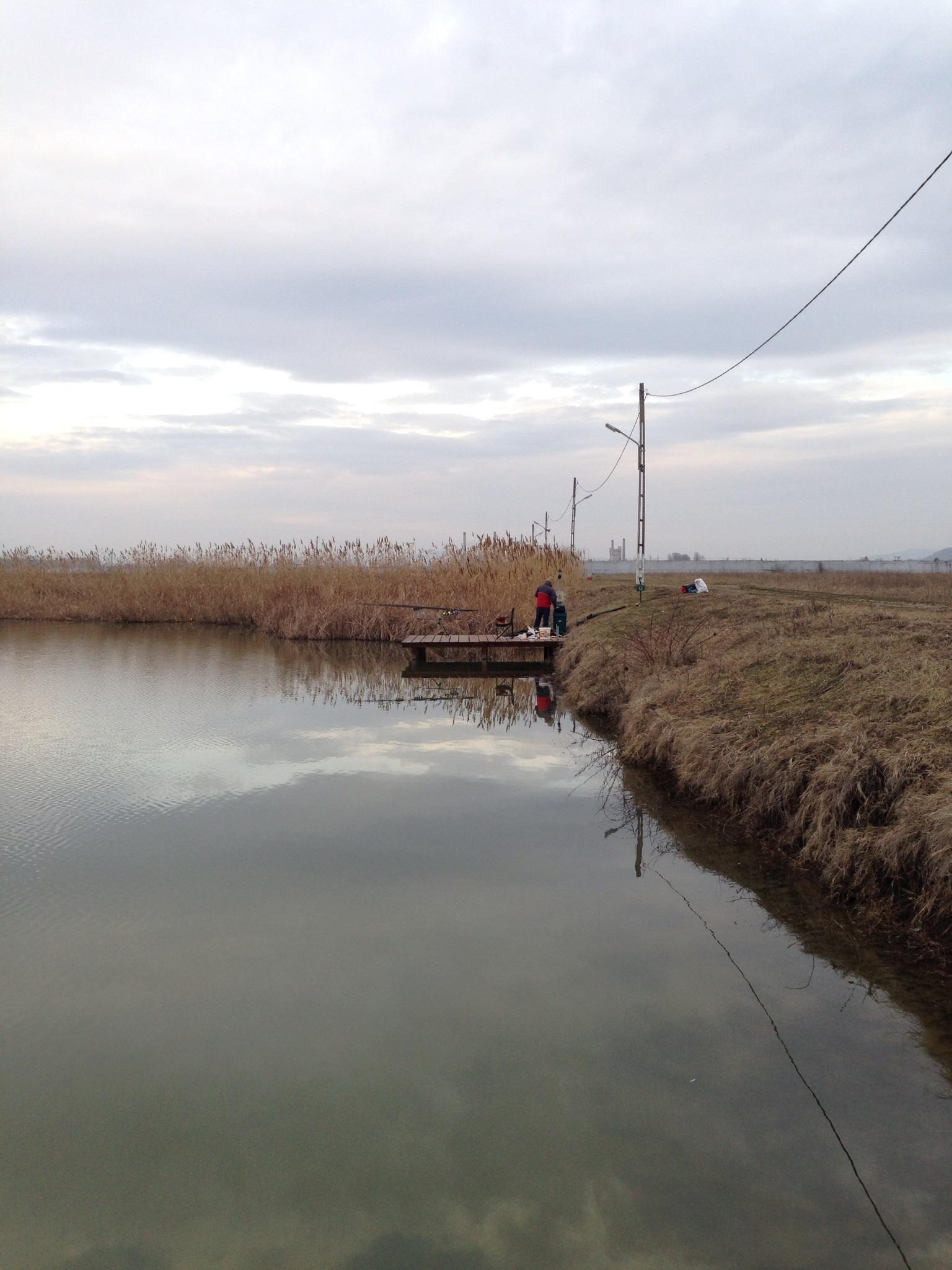 Pleasa - image11111111.jpg